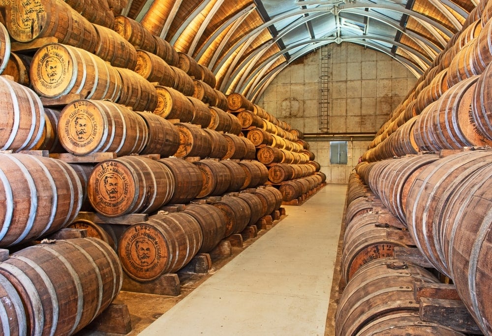 Castle Rumz — premium rum distribution across East Africa